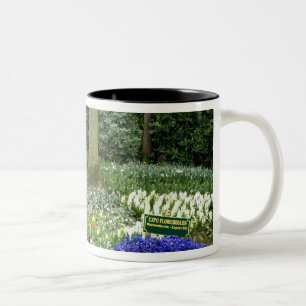 Niederlande (auch Holland genannt), Lisse. Keukenh Zweifarbige Tasse