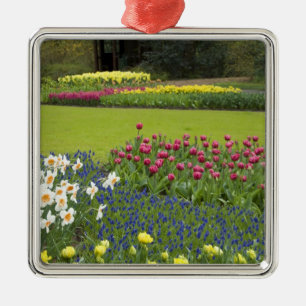 Niederlande (auch Holland), Lisse. Keukenhof 5 Silbernes Ornament