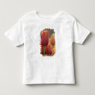 Niederlande (auch Holland), Lisse. Keukenhof 6 Kleinkind T-shirt