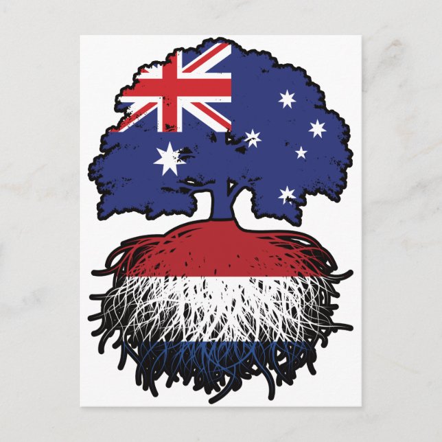 Niederlande Australien Tree Roots Postkarte (Vorderseite)