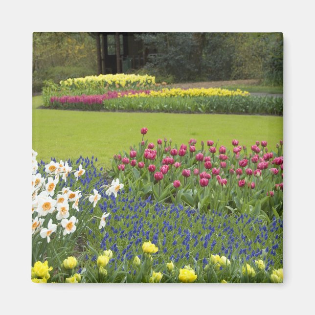 Niederlande (Holland), Lisse. Keukenhof 5 Magnet (Vorne)