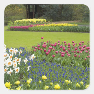 Niederlande (Holland), Lisse. Keukenhof 5 Quadratischer Aufkleber