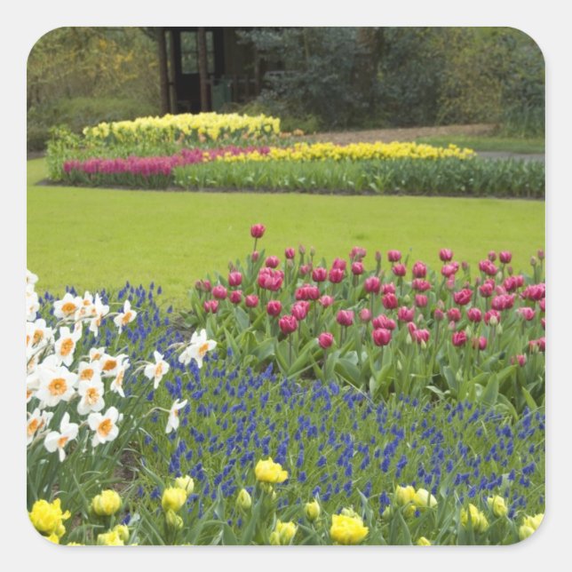 Niederlande (Holland), Lisse. Keukenhof 5 Quadratischer Aufkleber (Vorderseite)