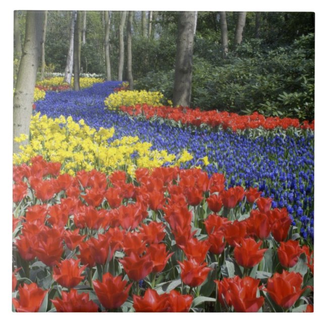 Niederlande, Holland, Lisse, Keukenhof Gardens Fliese (Vorderseite)