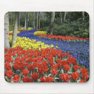 Niederlande, Holland, Lisse, Keukenhof Gardens Mousepad