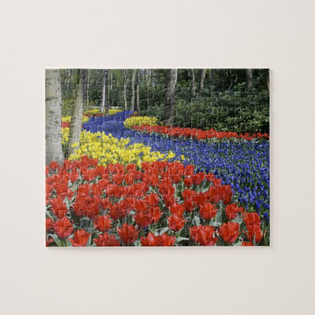 Niederlande, Holland, Lisse, Keukenhof Gardens Puzzle (Horizontal)