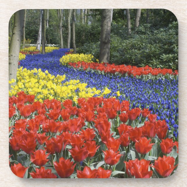 Niederlande, Holland, Lisse, Keukenhof Gardens Untersetzer (Vorderseite)