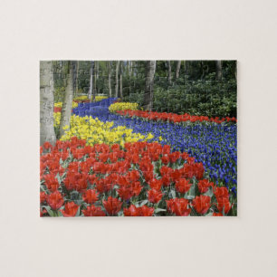 Niederlande, Holland, Lisse, Keukenhof-Gärten Puzzle