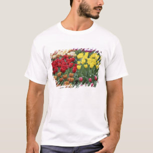 Niederlande, Keukenhoff Gardens, Tulpen. T-Shirt