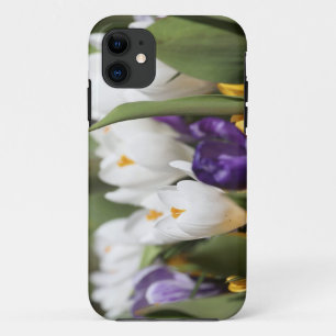 Niederlande, Keukenhoff-Gärten, Tulpen. iPhone 11 Hülle