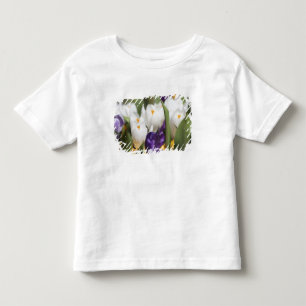 Niederlande, Keukenhoff-Gärten, Tulpen. Kleinkind T-shirt