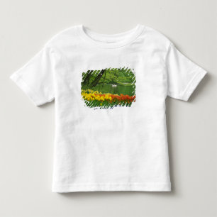 Niederlande, Lisse. Weiße Schwäne auf einem Teich  Kleinkind T-shirt