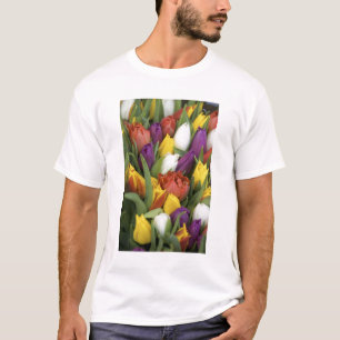 Niederlande, Südholland, Amsterdam T-Shirt