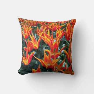 Niederlande Tulips Keukenhof Pillow Europe Kissen