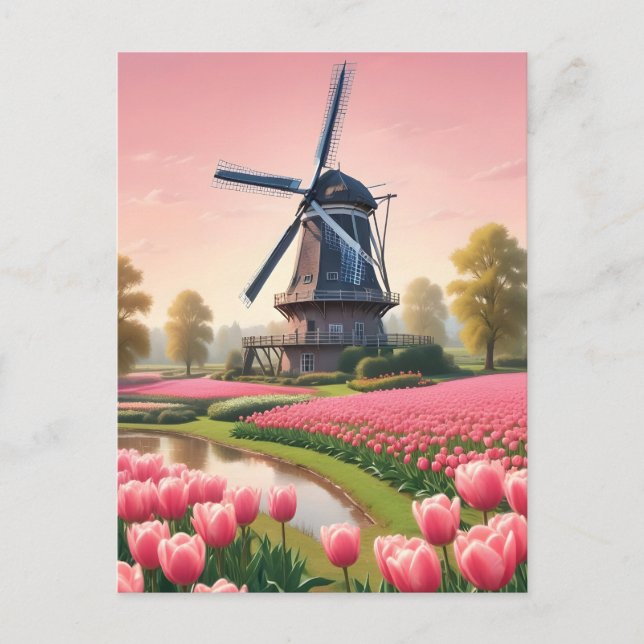 Niederlande Windmühlen Postkarte (Vorderseite)