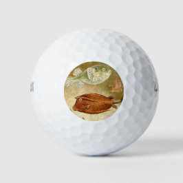 Niederländisch Golfball