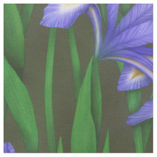 Niederländisch Iris (groß) Stoff