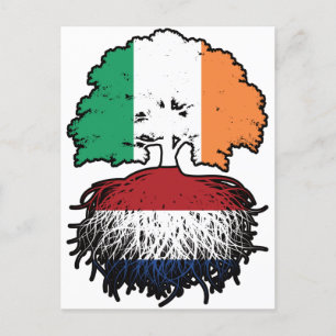 Niederländisch Irish Ireland Tree Roots Flag Postkarte
