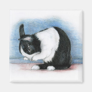 Niederländisch Magnet