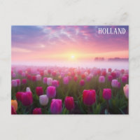 Niederländisch Tulips Travel Foto