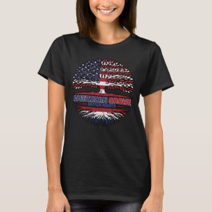 Niederländisch USA USA Vereinigte Staaten T-Shirt