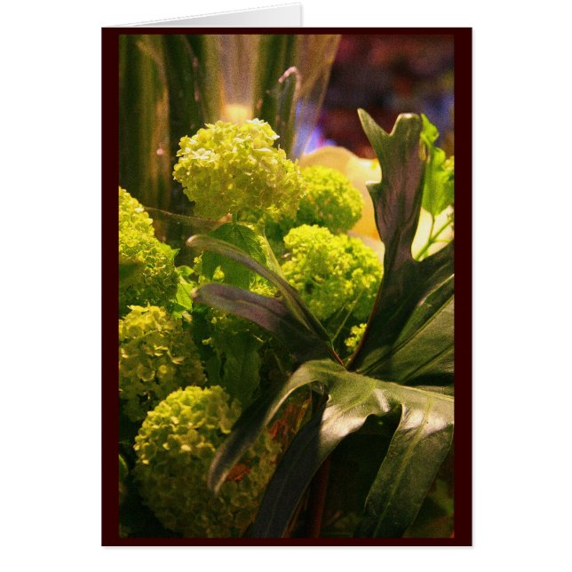 Niederländische Blume (Vorne)