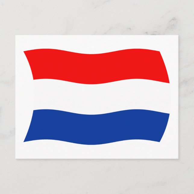 Niederländische Flagge Postkarte (Vorderseite)