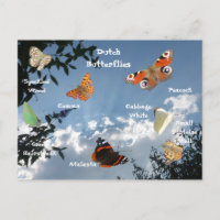 Niederländische Schmetterlinge Namen Postkarte