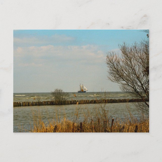 Niederländische Segelschiffe auf Ijselmeer Postkarte (Vorderseite)