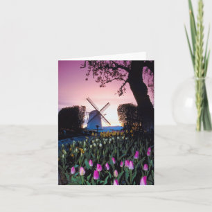 Niederländische Windmühle am Sonnenuntergang in Karte