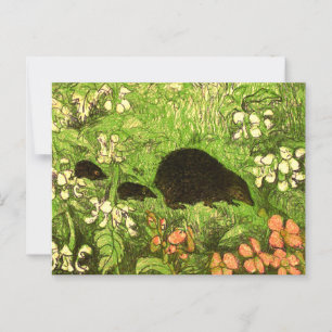 Niederländischer Jugendstil-Igel und Babys Postkarte