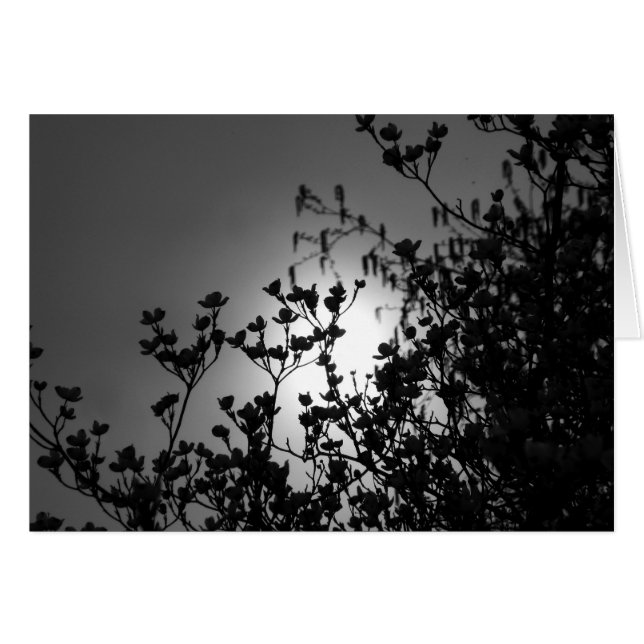 Niederlassungen (Vorderseite (Horizontal))