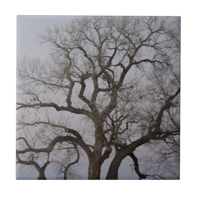 Niederlassungen Fliese (Vorderseite)