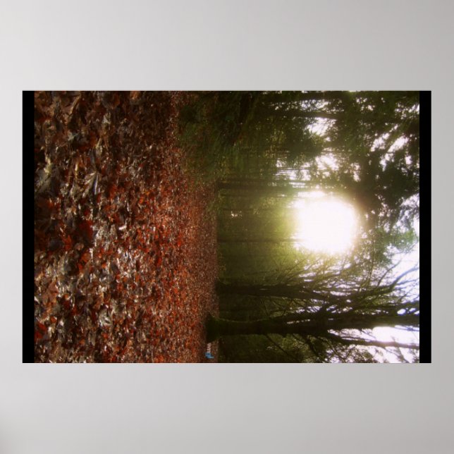 Niederwald Poster (Vorne)