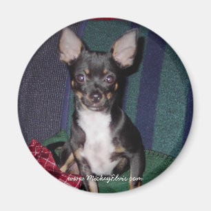 Niedlich & Adorable MickeyElvis Magnet