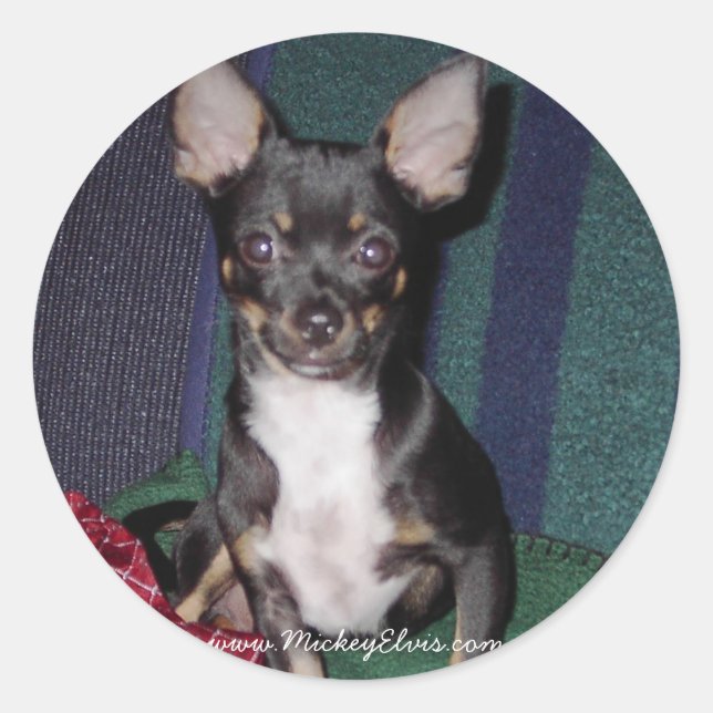 Niedlich & Adorable MickeyElvis Runder Aufkleber (Vorderseite)