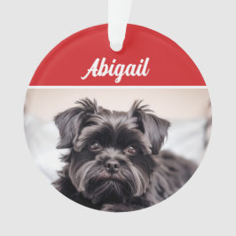 Niedlich Affenpinscher Hund Weihnachtsfeiertag Fot Ornament
