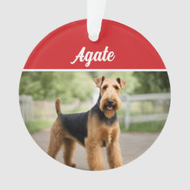 Niedlich Airedale Terrier Dog Weihnachtsfest Foto Ornament