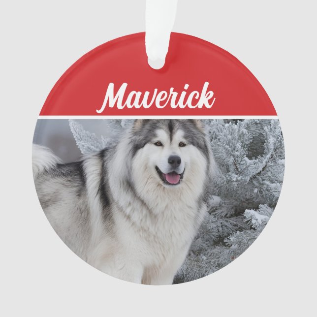 Niedlich Alaskan Malamute Dog Weihnachtsfeiertag F Ornament (Vorderseite)