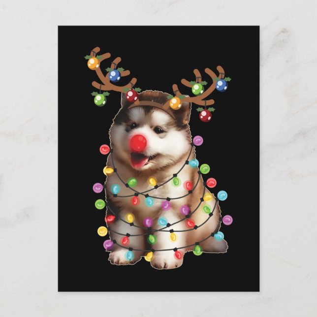Niedlich Alaskan Malamute Dog Weihnachtsgeschenke Postkarte (Vorderseite)