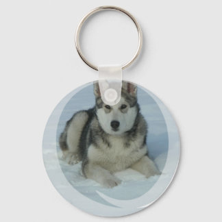Niedlich Alaskan Malamute Schlüsselanhänger