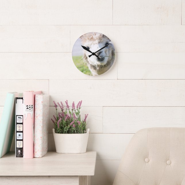 Niedlich Alpaka 1 #animal #nature Runde Wanduhr (Lesesaal)