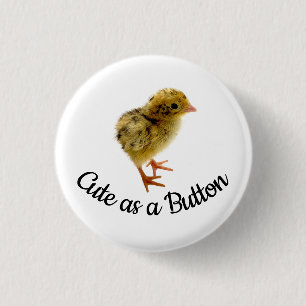 Niedlich als Tastendruck Quail Button