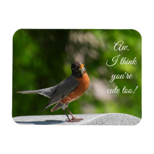 Niedlich American Robin *nach Kundenwunsch* Magnet