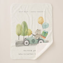 Niedlich Aqua Green Teddy Balloon Party Car Sherpadecke