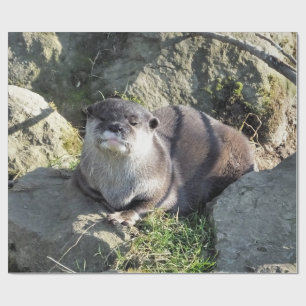 NIEDLICH ASIAN OTTER GESCHENKPAPIER