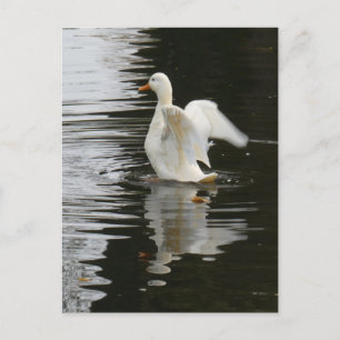Niedlich aufsteigende Duck DIY Postkarte