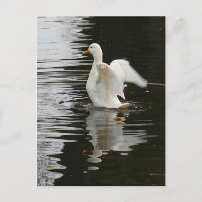 Niedlich aufsteigende Duck DIY Postkarte (Vorderseite)