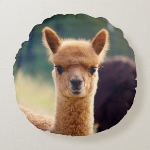 Niedlich Baby Alpaca Rundkissen Rundes Kissen