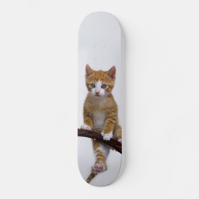 Niedlich Baby Cat Kitten Funny Gym Foto - Skateboard (Vorderseite)